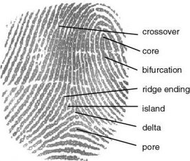 Fingerprint Principles - EsoSoft